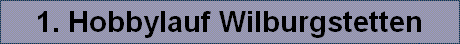 1. Hobbylauf Wilburgstetten