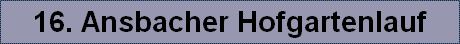 16. Ansbacher Hofgartenlauf