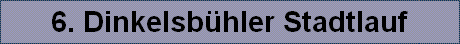 6. Dinkelsb�hler Stadtlauf