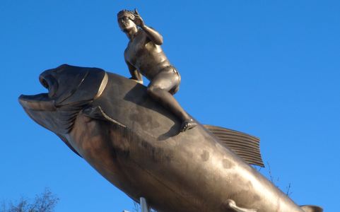 SAM_0535kl SAM_0535kl