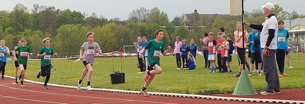 300420220004 Niebling Herzog 300420220004 Niebling Herzog