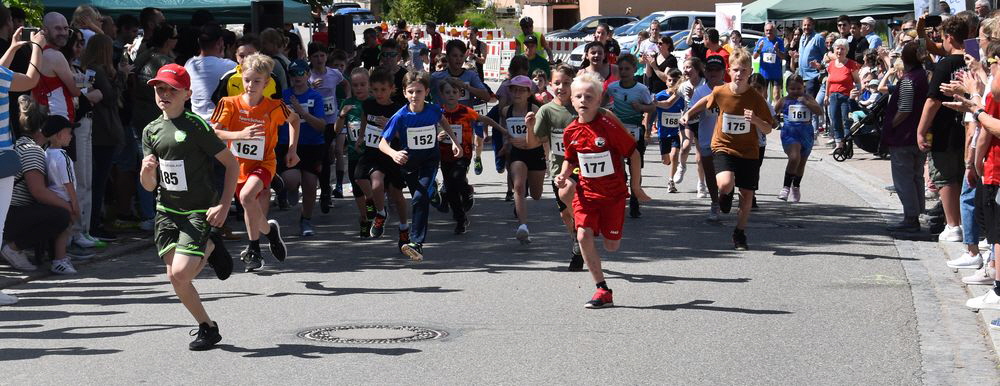 2024220240031 Start 2024220240031 Start
