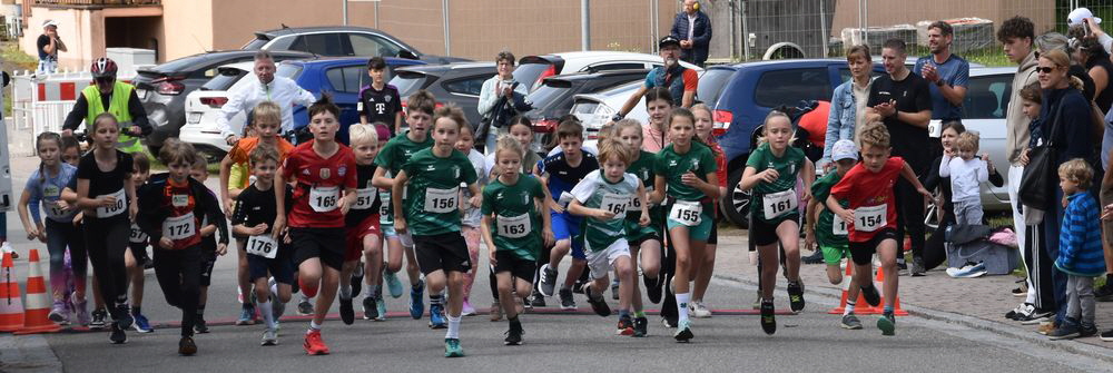 090620250040 Schuelerlauf