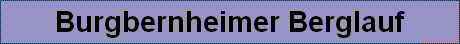 Burgbernheimer Berglauf