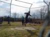 Photo Number 2