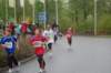 photo185_small.jpg
