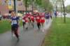 photo237_small.jpg