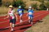 Photo Number 8