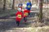 photo124_small.jpg