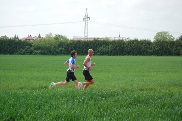 photo40.jpg