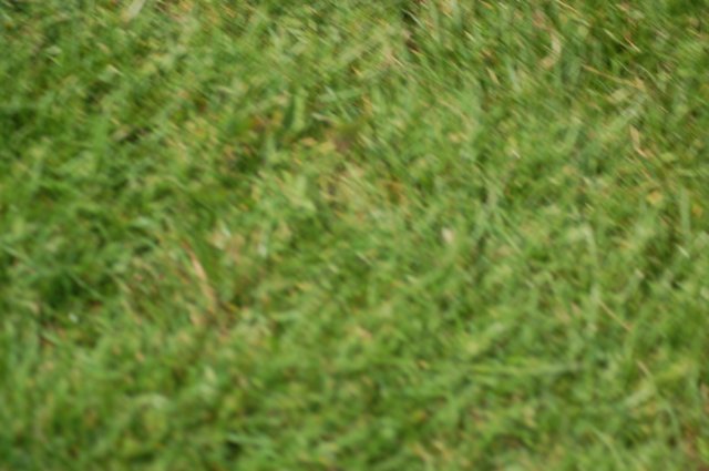 photo39.jpg
