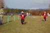 photo26_small.jpg