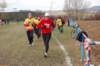 photo33_small.jpg