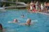 photo29_small.jpg