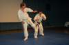 photo144_small.jpg