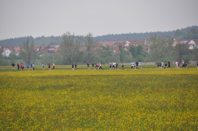 photo24.jpg