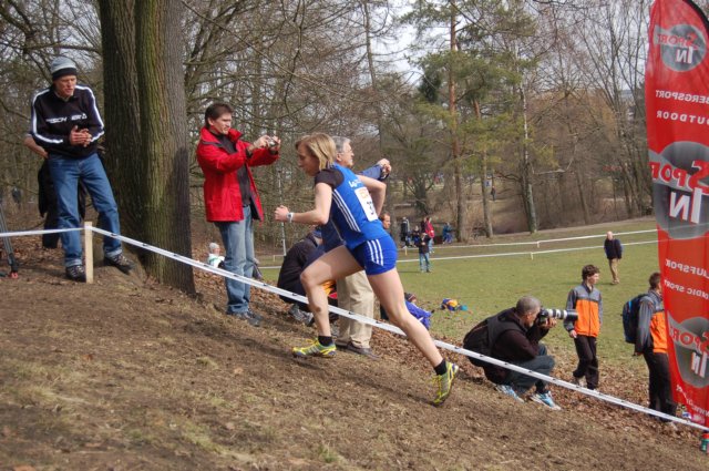 photo12.jpg