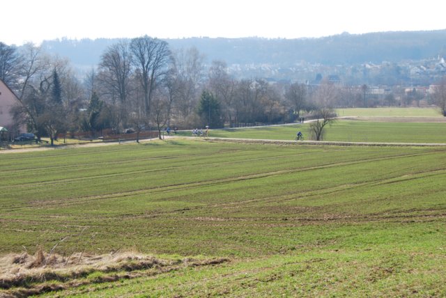 lauftreuchtlingen_006.jpg