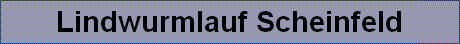 Lindwurmlauf Scheinfeld