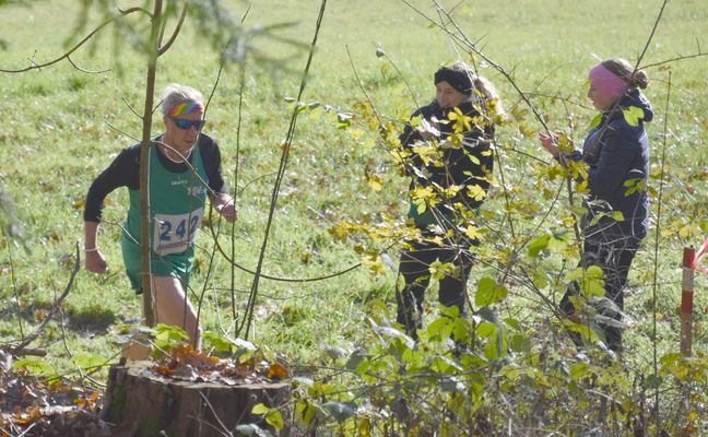 231120240019 Joerg Behrendt