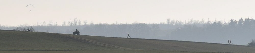 080220250567 Spitze